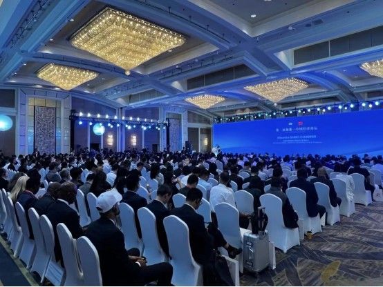 英大電力裝備有限公司受邀參加中非合作論壇北京峰會(huì )